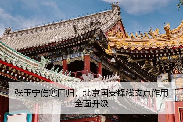 张玉宁伤愈回归，北京国安锋线支点作用全面升级