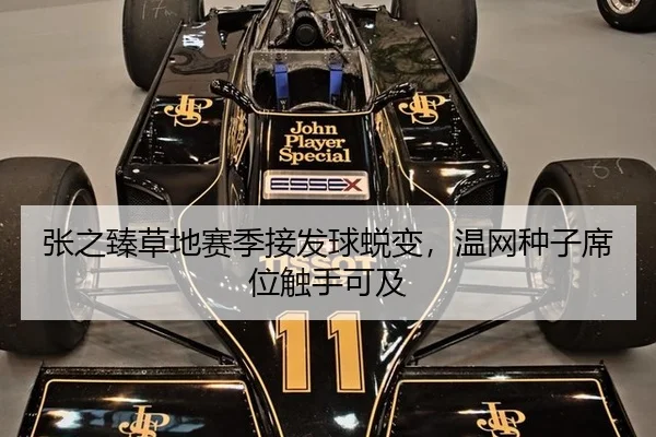 张之臻草地赛季接发球蜕变，温网种子席位触手可及