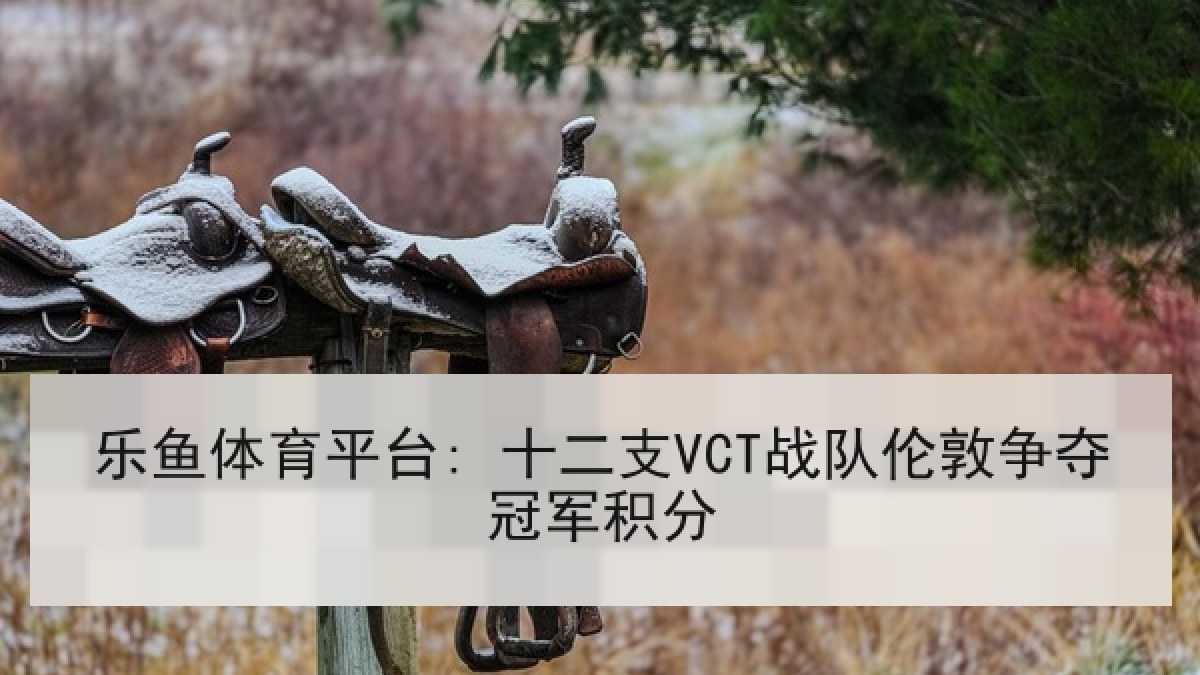 乐鱼体育平台: 十二支VCT战队伦敦争夺冠军积分 乐鱼体育平台: 十二支VCT战队伦敦争夺冠军积分