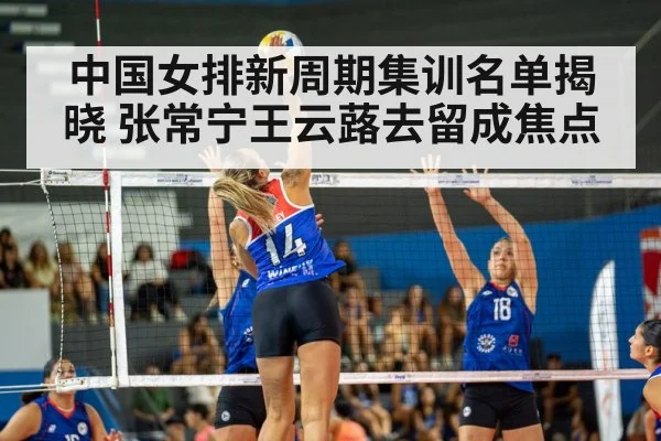 volleyball match action
